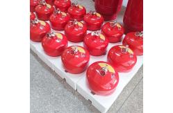 China Electronic Equipment FM200 Automatic Gas Fire Extinguishing System supplier