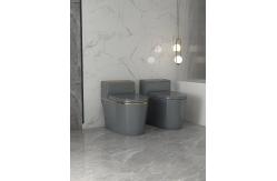China Siphon Flushing Button Sanitary Ware Toilet One Piece P Trap S Trap supplier