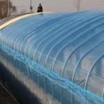Greenhouse Plastic Agricultural Film 0.5-16m Width For Flowers
