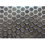Economical Hexagonal Mesh Sheet Rust Resistant For Decoration for sale