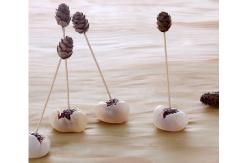 China 9cm Dcorative Bamboo Pine Cones Food Fruit Picks supplier