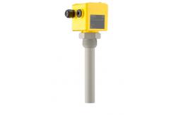 China VEGACAP VEGA Instrumentation 98 Capacitive Rod Probe For Level Detection CAP98.XPYDS supplier