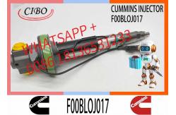 China Fuel Injector Assembly F00BLOJ017 F00BLOJ018 0986435611 F00BLOJ019 Y431K05246For Qsk19 Engine supplier