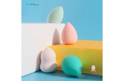 China 4pcs Makeup Sponge Set Professional Makeup Blender Sponge With Box Holders supplier