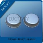25/110 Piezoelectric Disk Piezo Ceramic Disc Ultrasonic Disc for sale