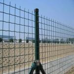 OD 60mm*1.5mm Green PVC Coated Welded Mesh Holland Mesh Netting