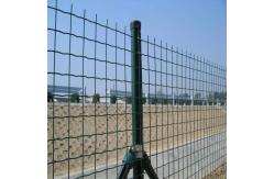 China OD 60mm*1.5mm Green PVC Coated Welded Mesh Holland Mesh Netting supplier