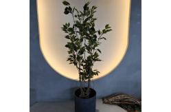 China Insect Resistant Artificial Plants Indoor Artificial Green Walls 150CM supplier