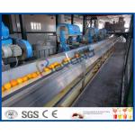 Full Automatic Engery saving Orange Processing Line for Turn Key Project for sale