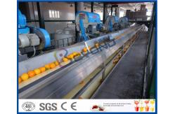 China Full Automatic Engery saving Orange Processing Line for Turn Key Project supplier