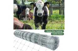 China High Durable 4FT High Galvanized Iron Cattle Farm Fence Roll supplier