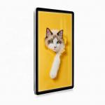 Exhibition Halls Wall Mounted Digital Signage 43 55 Inch Indoor Advertising for sale