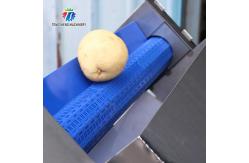 China Commercial 2.6KW Fruit And Vegetable Processing Line Bubble Cleaning Juicing Machine supplier