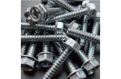 China Customized Concrete Self Tapping Screws ASME/DIN/GB/ISO/UNI Standard supplier