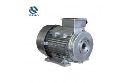 China 3KW 4HP Washing Machine Single Phase Vertical Hollow Shaft Electric Motor supplier
