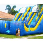 Commercial Double Side Inflatable Bouncer Slide Double Stitching for sale