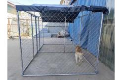 China Chain Link Steel Dog Kennel Outdoor Enclosure Exercise Pen Run With Cover supplier