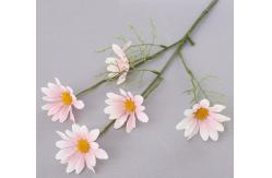 China Decorative Fabric Five Heads Artificial Daisy Branches 50cm Length supplier