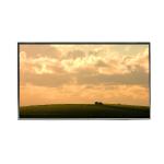 LQ164M1LD4C LCD Screen 16.4 inch 1920*1080 LCD Display TFT Module for sale