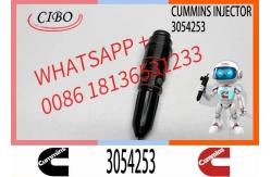 China Excavator 3054218 3054253 3032392 4914308 4914325 Engine Common Rail Fuel Injector supplier