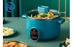 China 3.2qt 3L Multi Function Electric Hot Pot 600 Watt supplier