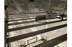 China Vertical 1000w EnerMax LED Horticulture Led Grow Light supplier