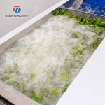 China Silver Fruit And Vegetable Processing Line for Fast and Effective Processing factory