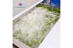 China 380V 240KG Diffusion Injection Fruit And Vegetable Washing Machine Easy To Operate supplier