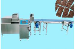 China papa P400 date bar extruder 400kg-600kg per hour Large Capacity supplier