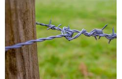 China Electro-Galvanized 	Security Barbed Wire For Isolating And Protecting supplier