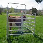 2.4M American Livestock Cattle Corral Fencing Round Pipe Style Cattle Fencing Panel for sale