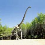 Realistic Dinosaur Skeleton Replica /  Jurassic World Replica For Indoor for sale