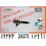 Diesel Engine Pump Car Fuel Injector 2645A710 2645A732 2645A744 For C6.6 Engine for sale