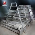 Full Automatic Manure Cleaning System Baby Chick Cage for sale
