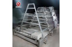 China Full Automatic Manure Cleaning System Baby Chick Cage supplier