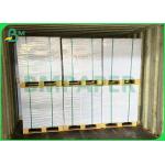 280gsm Poly Coated Cup Paper Material Single Or Double Poly Coating for sale