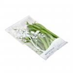 Customized Size Microperforated Bags Plastic Poly Packing Bags For Fruit Cookie for sale