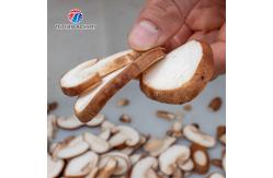 China Professional cutting mushroom slice mushroom cutting processing equipment mushroom slicer chopping machine supplier