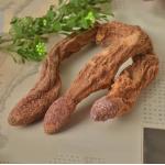 China xinjiang Wild dried caulis songaria cynomorium herb Suo Yang whole plant traditional sex herb for men for sale