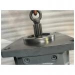 A4VG40EP4D1/32L-NSC02F015FP-S A4VG250HD1D1/32R-NTD10F691S piston pump A4VG250HD1D1/32R-NSD10K011E-S