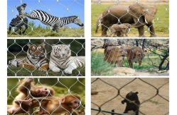 China Zoo Stainless Steel Wire Mesh Fencing 7*7  7*19 With Various Specifications supplier