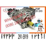 C6.6 Engine Parts Injection Fuel Pump 291-5919 10R-7660 2641A306 for sale