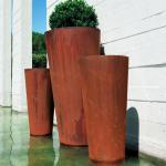 Customized Style Large Indoor Potted Plants Perfect for Indoor Plants