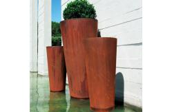 China Customized Style Large Indoor Potted Plants Perfect for Indoor Plants supplier
