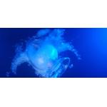 Primid 95 / 5 Polyester Resin Low Temp Curing Good Mechanical / Weather Properties