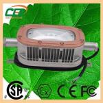 Portable 120° High Lumen LED Explosion Proof Light 30 W WF2 , DC 36V for sale