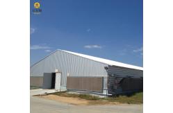 China Customizable Farm Steel Structure Poultry House Galvanized For Automated Ventilation supplier
