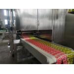 PLC Controlled Electric Laundry Pod Making Machine for Customized Production