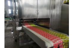 China PLC Controlled Electric Laundry Pod Making Machine for Customized Production supplier
