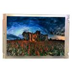 LQ14D412 Original in stock 13.8 inch LCD Display Screen for sale